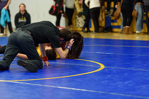 Wrestling DHS 011516-3-2733