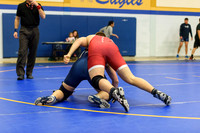 Wrestling DHS 011516-3-2694