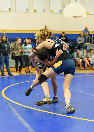 Wrestling DHS 011516-3-4035