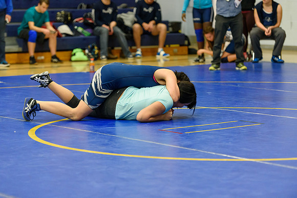 Wrestling DHS 011516-3-4333