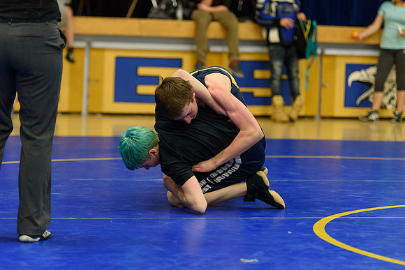 Wrestling DHS 011516-3-5323