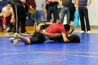 Wrestling DHS 011516-3-2914