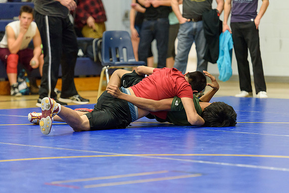 Wrestling DHS 011516-3-2914