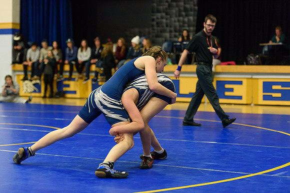 Wrestling DHS 011516-3-2127