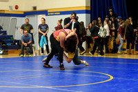 Wrestling DHS 011516-3-2729