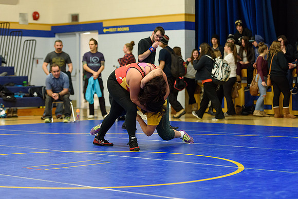 Wrestling DHS 011516-3-2729