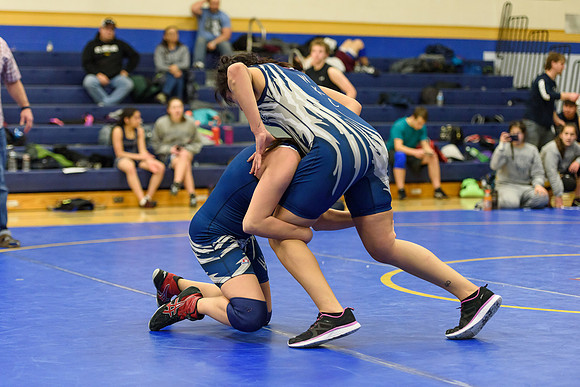 Wrestling DHS 011516-3-4235