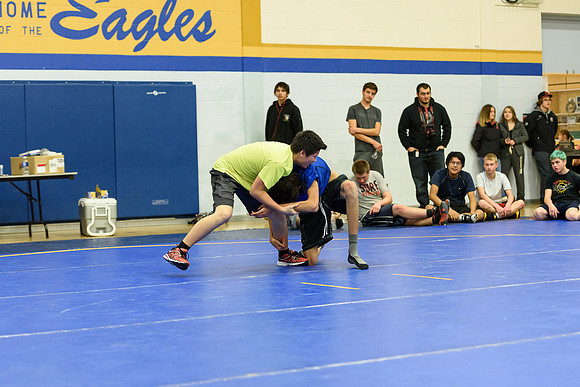 Wrestling DHS 011516-3-4086