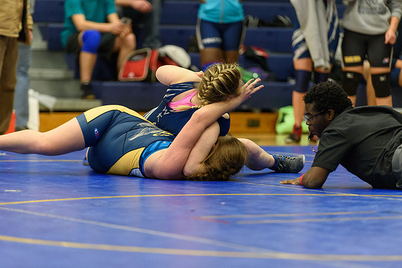 Wrestling DHS 011516-3-3532