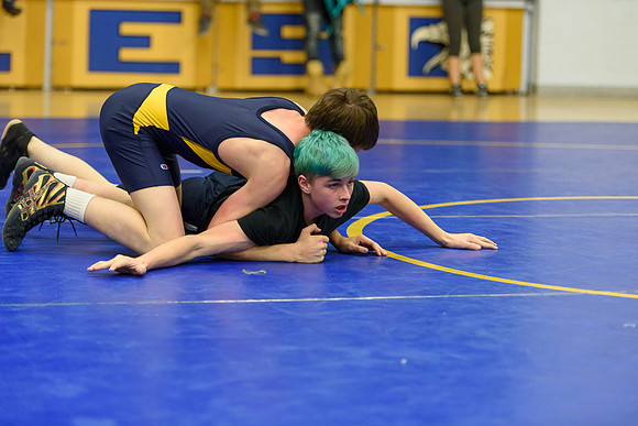 Wrestling DHS 011516-3-5327