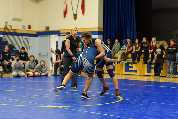 Wrestling DHS 011516-3-4158