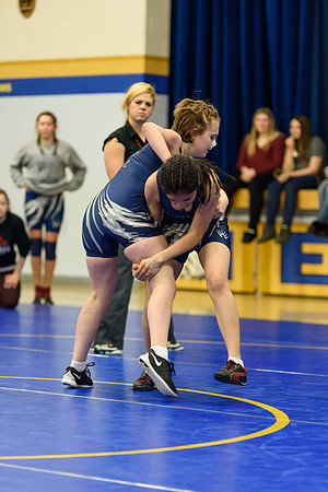 Wrestling DHS 011516-3-3179