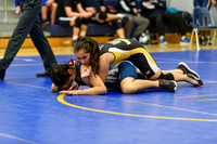 Wrestling DHS 011516-3-2290