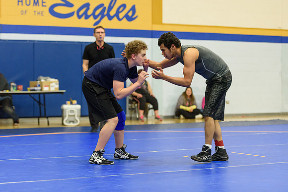 Wrestling DHS 011516-3-2282