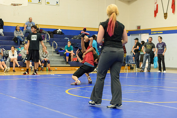 Wrestling DHS 011516-3-2909