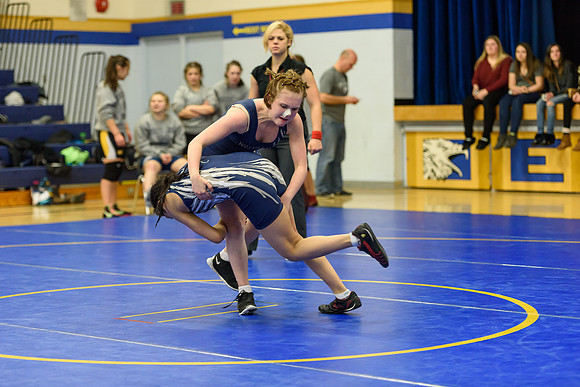 Wrestling DHS 011516-3-3202