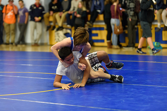 Wrestling DHS 011516-3-2575