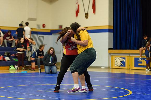 Wrestling DHS 011516-3-4426