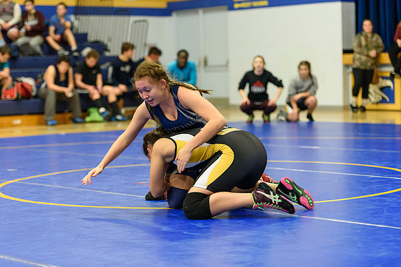 Wrestling DHS 011516-3-3339