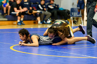 Wrestling DHS 011516-3-2288