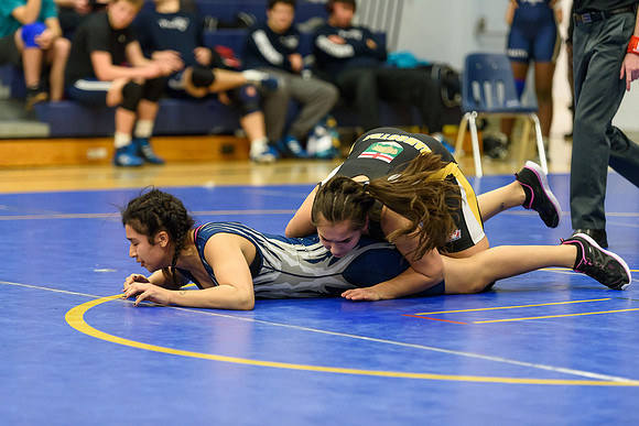 Wrestling DHS 011516-3-2288