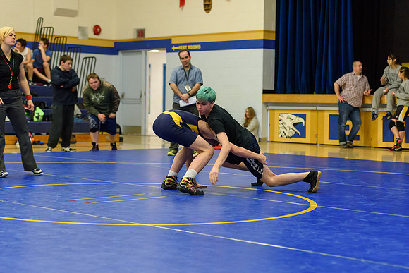Wrestling DHS 011516-3-5284