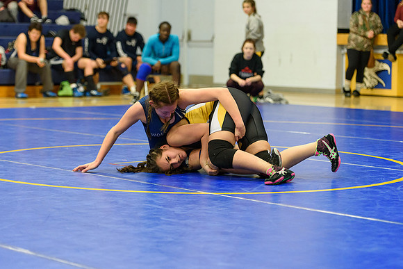 Wrestling DHS 011516-3-3346