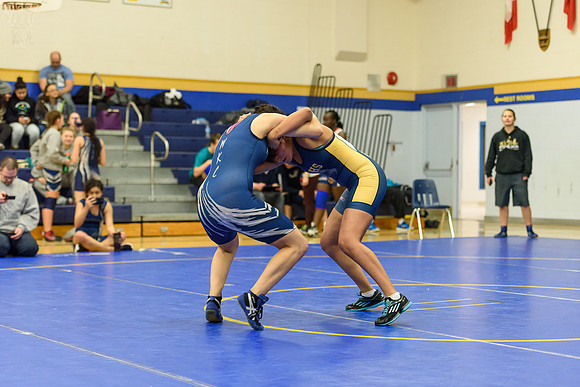 Wrestling DHS 011516-3-2334