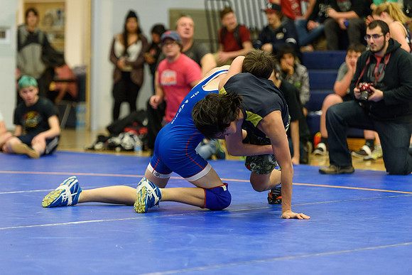 Wrestling DHS 011516-3-4201