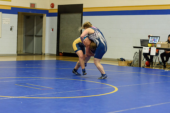 Wrestling DHS 011516-3-5874