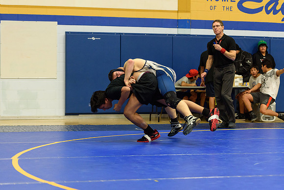 Wrestling DHS 011516-3-4768