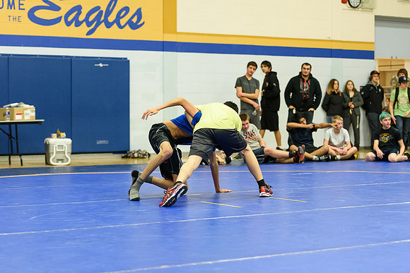 Wrestling DHS 011516-3-4082