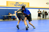 Wrestling DHS 011516-3-2744
