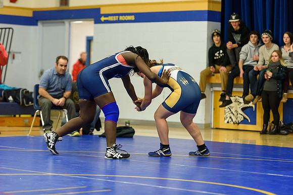 Wrestling DHS 011516-3-2469
