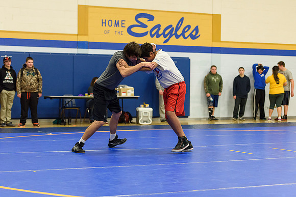 Wrestling DHS 011516-3-2879