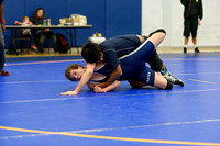 Wrestling DHS 011516-3-2535
