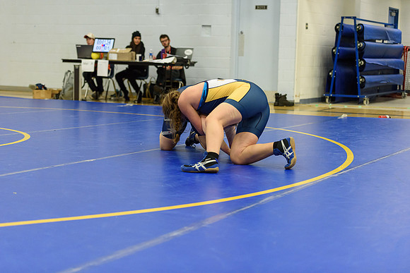 Wrestling DHS 011516-3-5842