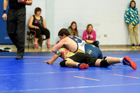 Wrestling DHS 011516-3-2194