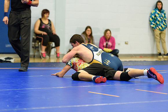 Wrestling DHS 011516-3-2194