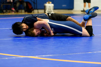 Wrestling DHS 011516-3-2538