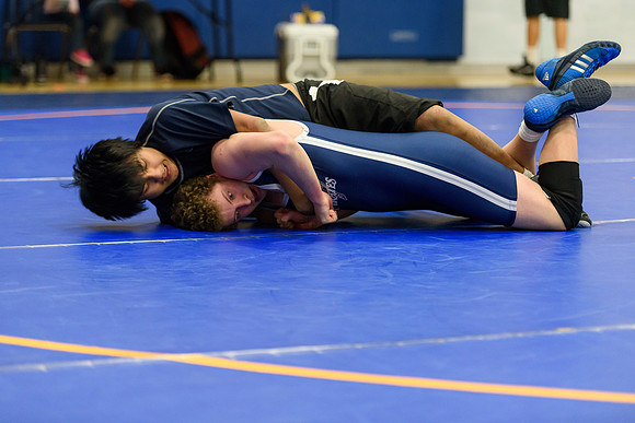 Wrestling DHS 011516-3-2538