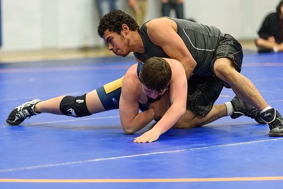 Wrestling DHS 011516-3-3556