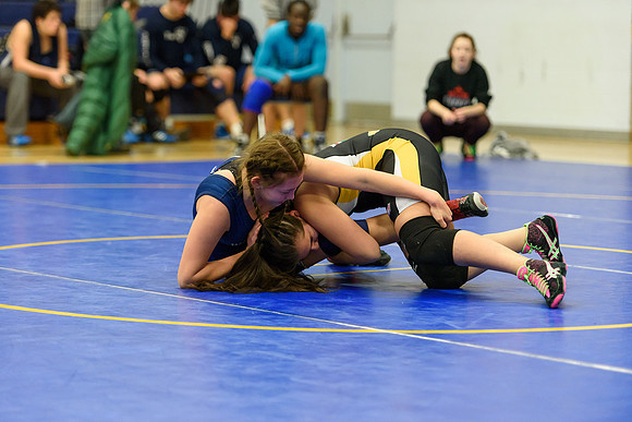 Wrestling DHS 011516-3-3348