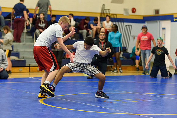 Wrestling DHS 011516-3-4512