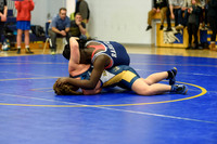 Wrestling DHS 011516-3-2515