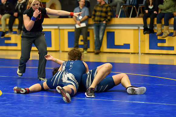 Wrestling DHS 011516-3-4281