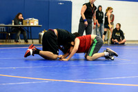 Wrestling DHS 011516-3-3698