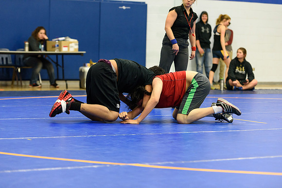 Wrestling DHS 011516-3-3698