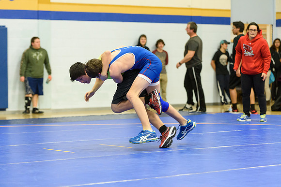 Wrestling DHS 011516-3-2830