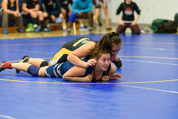 Wrestling DHS 011516-3-3351